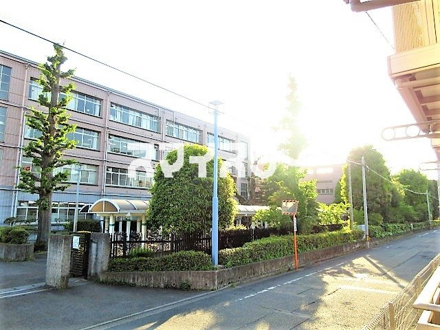 バドの展望