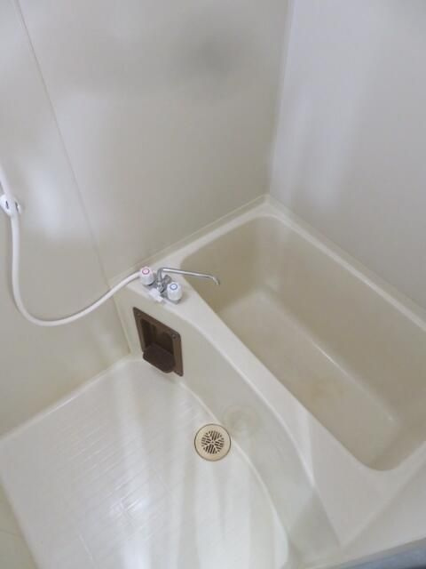 川崎市多摩区菅５丁目の賃貸マンションの浴室