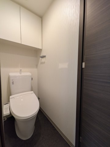 ケーディーエックスレジデンス豊洲のトイレ|落ち着いたトイレです