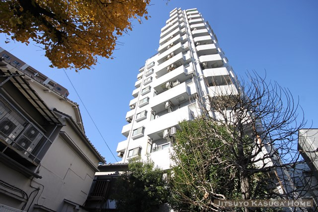 ライオンズプラザ白山の画像