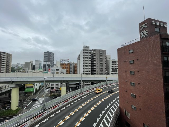 フェニックス日本橋高津の展望