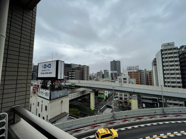 フェニックス日本橋高津の展望
