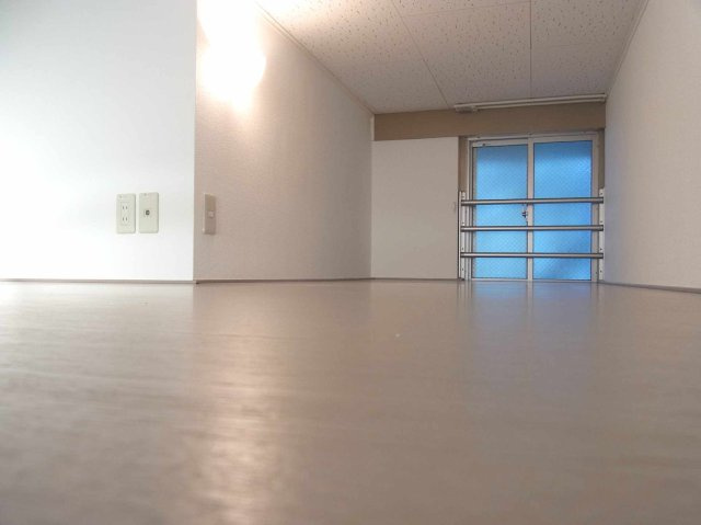 レオパレスヒロのその他