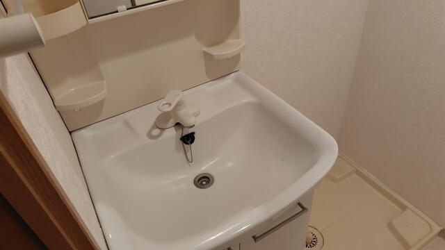 サニーサイドウエストの洗面所