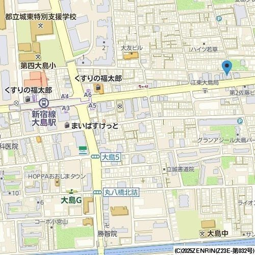 ダイナ大島の地図