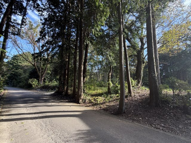 伊豆の国市　伊豆エメラルドタウンの前面道路含む現地写真