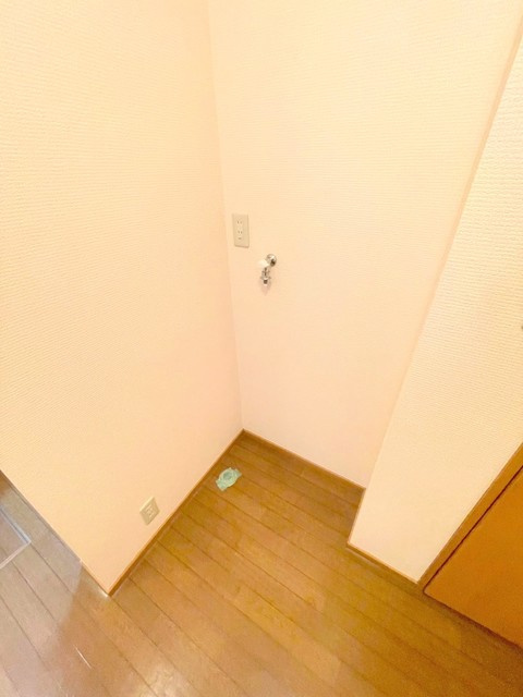 ハイム欅の洗面所