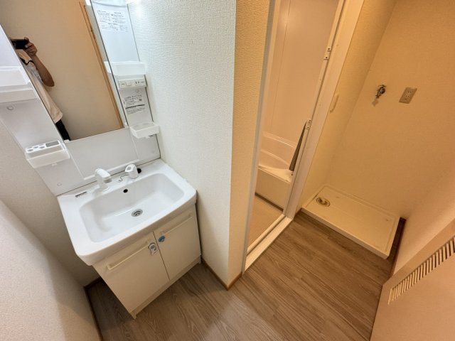 プラザテイクスリーの洗面所