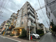 パピエ・レイの画像