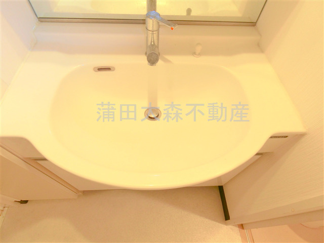 クリオ平和島の洗面所