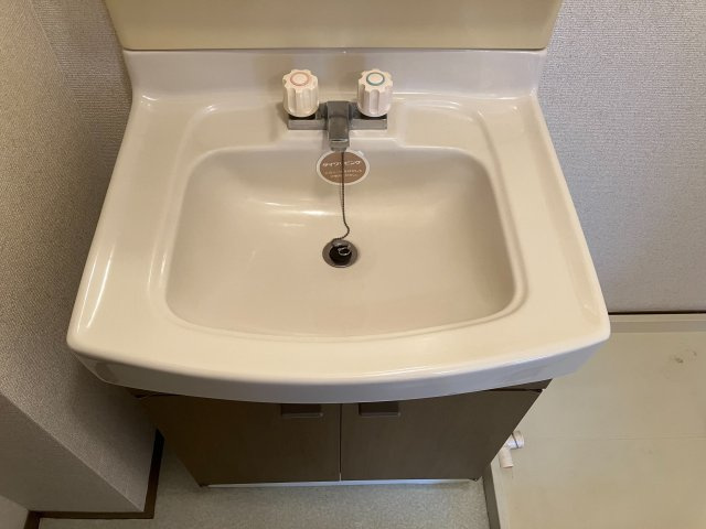 プレミールコートAの洗面所