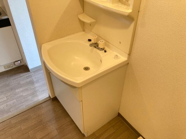 グランドソレイユ B棟の洗面所