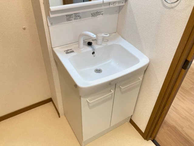エクセラン春日の洗面所
