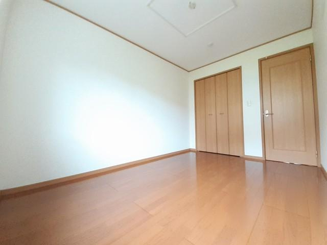 シンヴィオシスＢのその他