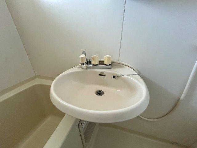 グレイスフルコートの洗面所