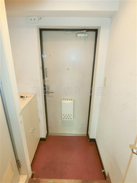 グレイス多摩川の玄関