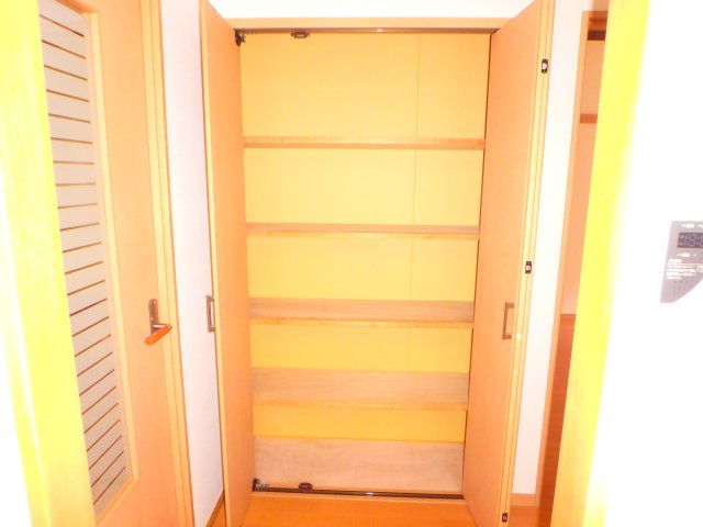 キャッスルⅤの収納|別部屋の参考写真となります。