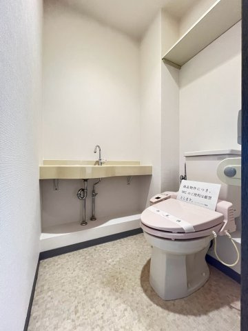 グランドシティダイヤパレス吹田センターコート壱番館のトイレ