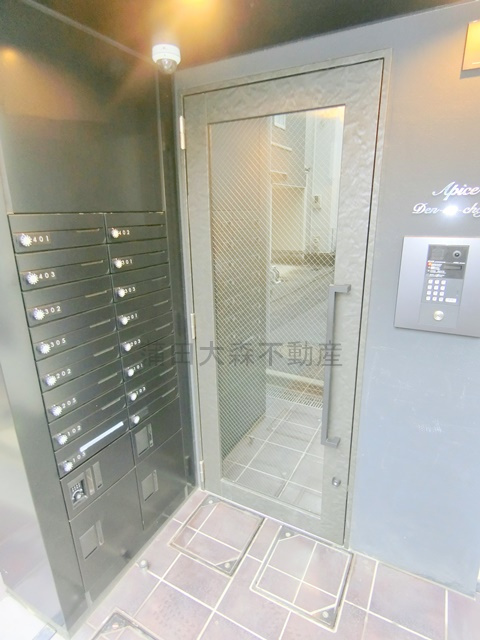 アピチェ田園調布のエントランス|TVモニター付オートロック宅配BOXメールBOX