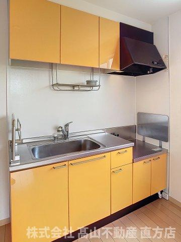 デューク沼口Ｄ棟のキッチン|キッチンの色は部屋によって異なります。