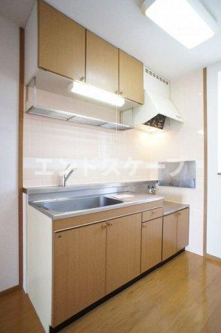 ステディールーツのキッチン|高崎、前橋のお部屋探しはエンドスケープまで！お客様の理想お聞かせ下さい♪