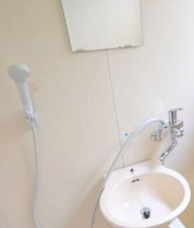 グリーンハイツの洗面所