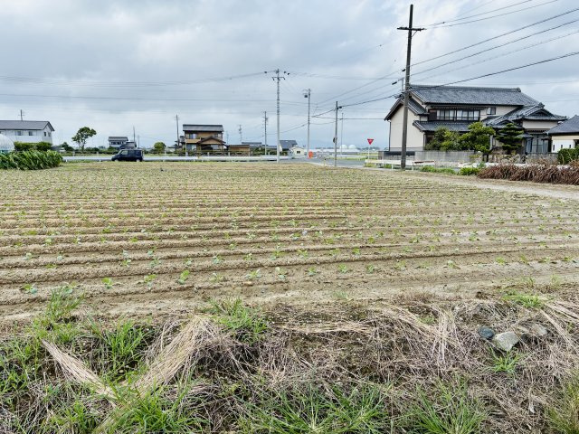 神野新田ワノ割売地(農地白地)2の外観