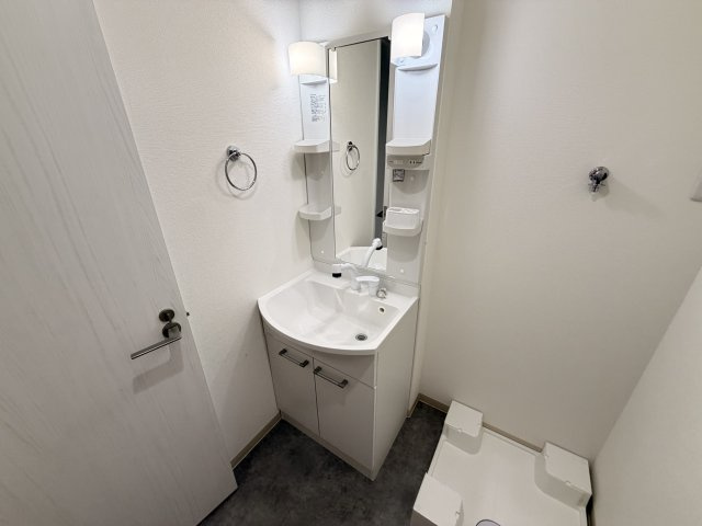 D porta cameliaの洗面所
