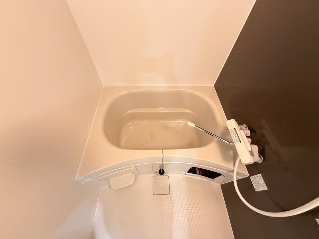 D porta cameliaの浴室