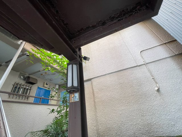 メゾンタネムラ　角部屋　女性限定　防犯カメラのセキュリティ