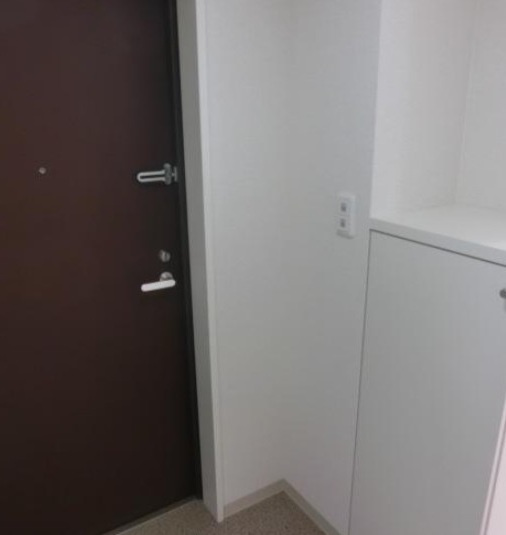 八潮市大瀬１丁目の賃貸マンションの玄関