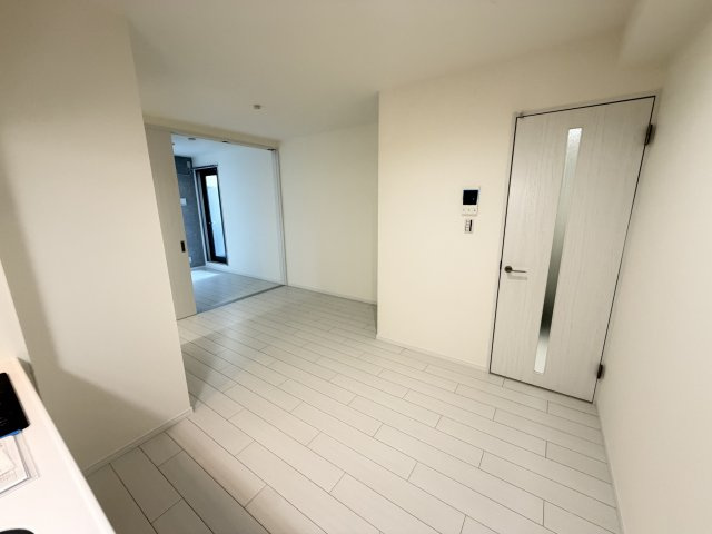 D porta cameliaのその他