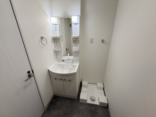 D porta cameliaの洗面所