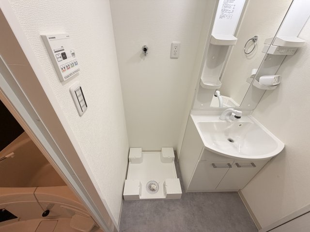D porta cameliaのその他