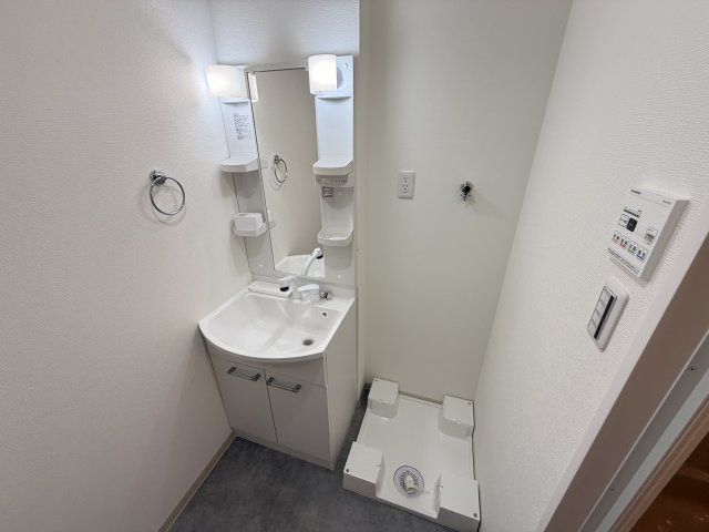 D porta cameliaの洗面所