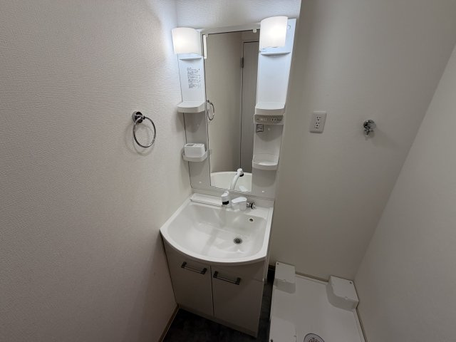D porta cameliaの洗面所