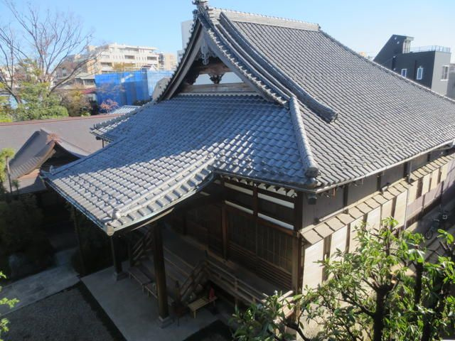 メゾンティーナ根津のその他