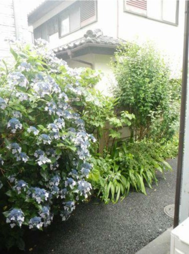 ハイム中央の展望
