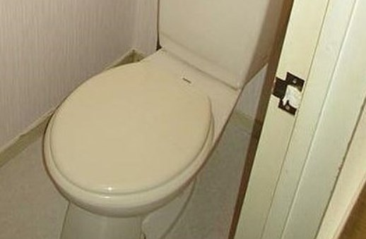 グリーンパーク荻窪のトイレ
