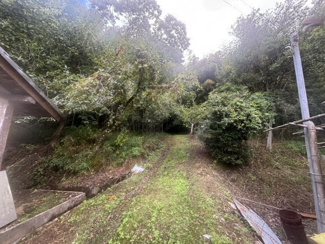【外観】 | 丹波篠山市東木之部　山林