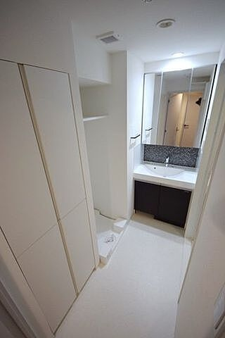 メイクスデザイン入谷アジールコートの独立洗面台