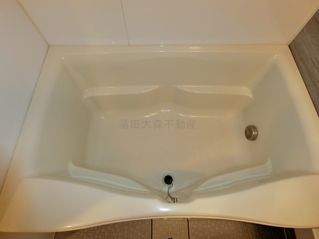 レジディア千鳥町の浴室