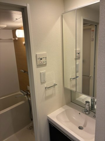 ラフィスタ本蓮沼の洗面所