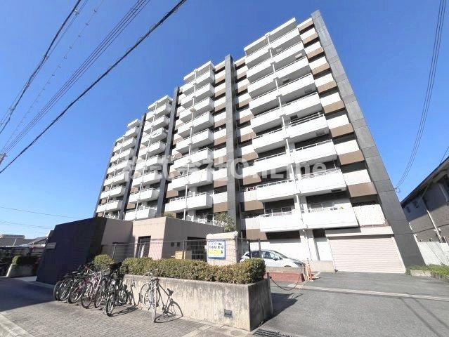 ピカソ平野の外観