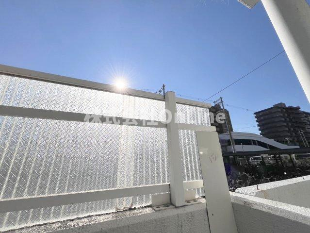 ピカソ平野の展望