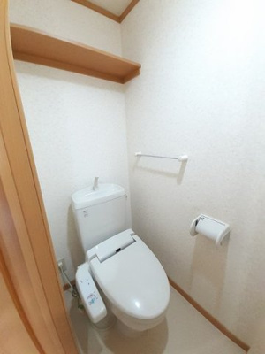 【トイレ】 | デュエル　ミサキⅢ　Ｂ | 落ち着いた色調のトイレです