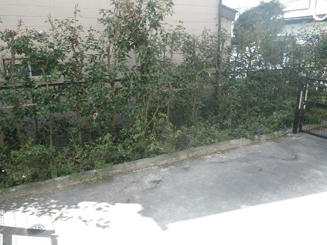 朝霞市本町１丁目の賃貸マンションの庭