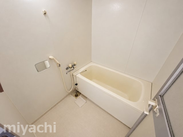 徳島市北田宮３丁目の賃貸マンションの浴室