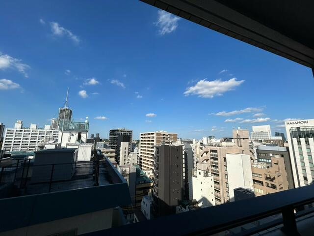 ディアナコート文京本郷台の展望