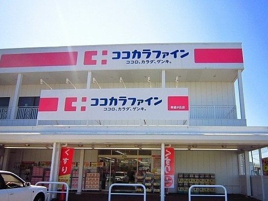 ヴィラ　ファミーユ　Ａの周辺|ココカラファインまで780m